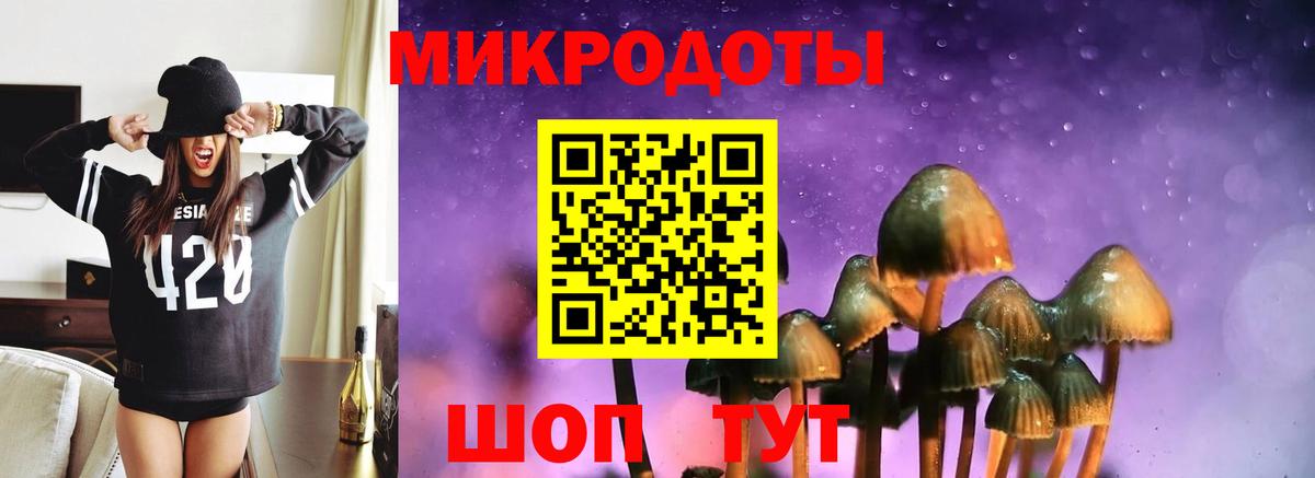 Галлюциногенные грибы Cubensis Вышний Волочёк